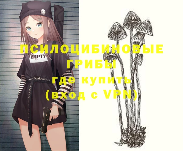 PSILOCYBIN Заволжск