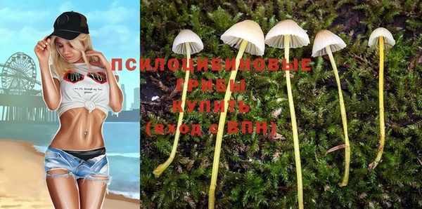 apvp Заводоуковск