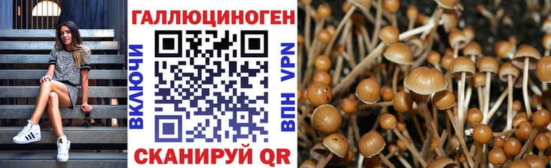 Псилоцибиновые грибы GOLDEN TEACHER  гидра рабочий сайт  Черняховск 
