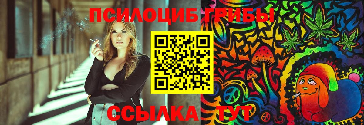Галлюциногенные грибы Magic Shrooms Черняховск